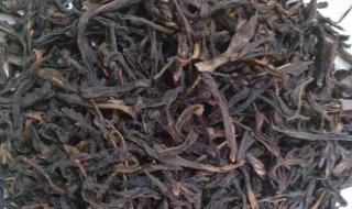 凤凰单枞茶是属于什么茶 凤凰单枞茶是属于什么茶