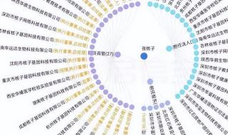 巴德年张核子巴颖张珊珊 巴德年张核子巴颖张珊珊