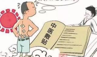 三伏贴的作用与功效 三伏贴的作用与功效
