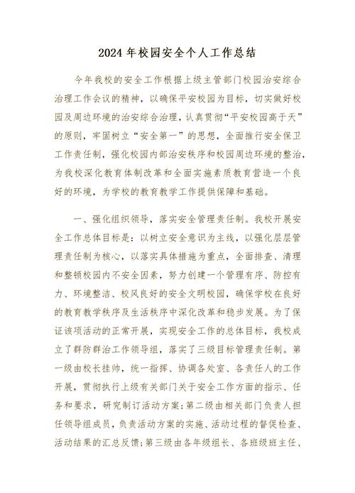 校园安全整治(校园安全整治工作总结)