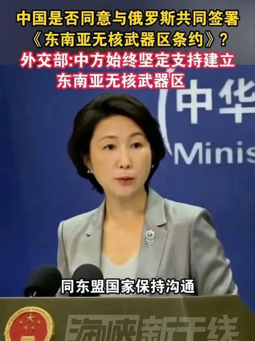 东南亚合作(东南亚合作条约)