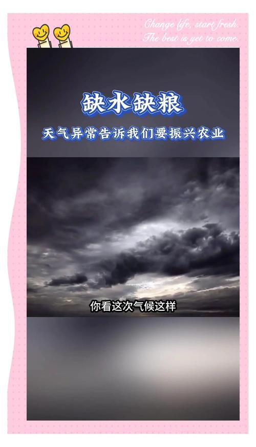全球粮食安全(全球粮食安全面临挑战)