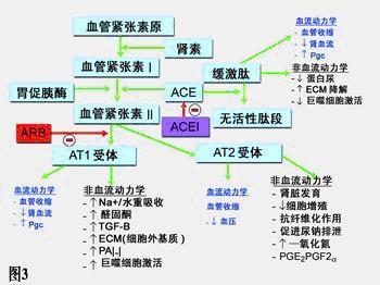 心血管事件链共识(心血管事件分级)
