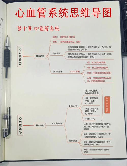 心血管事件链共识(心血管事件分级)