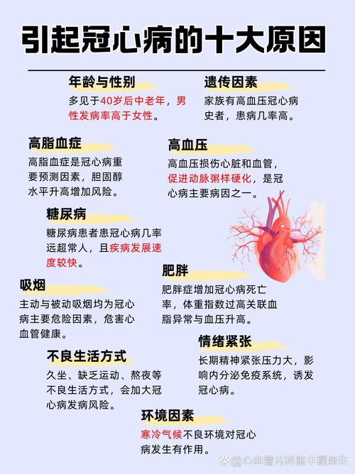 心血管事件链共识(心血管事件分级)
