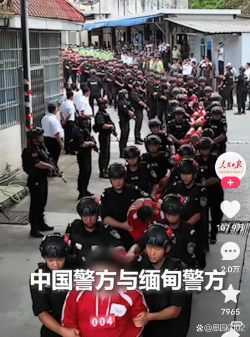 反诈抓捕行动(反诈犯罪)