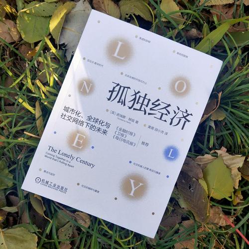孤独经济现象(孤独经济的意义)