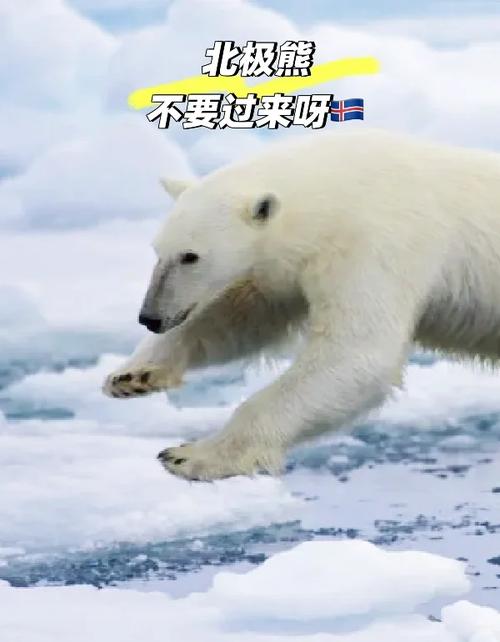 北极开发争议(北极开发争议事件)